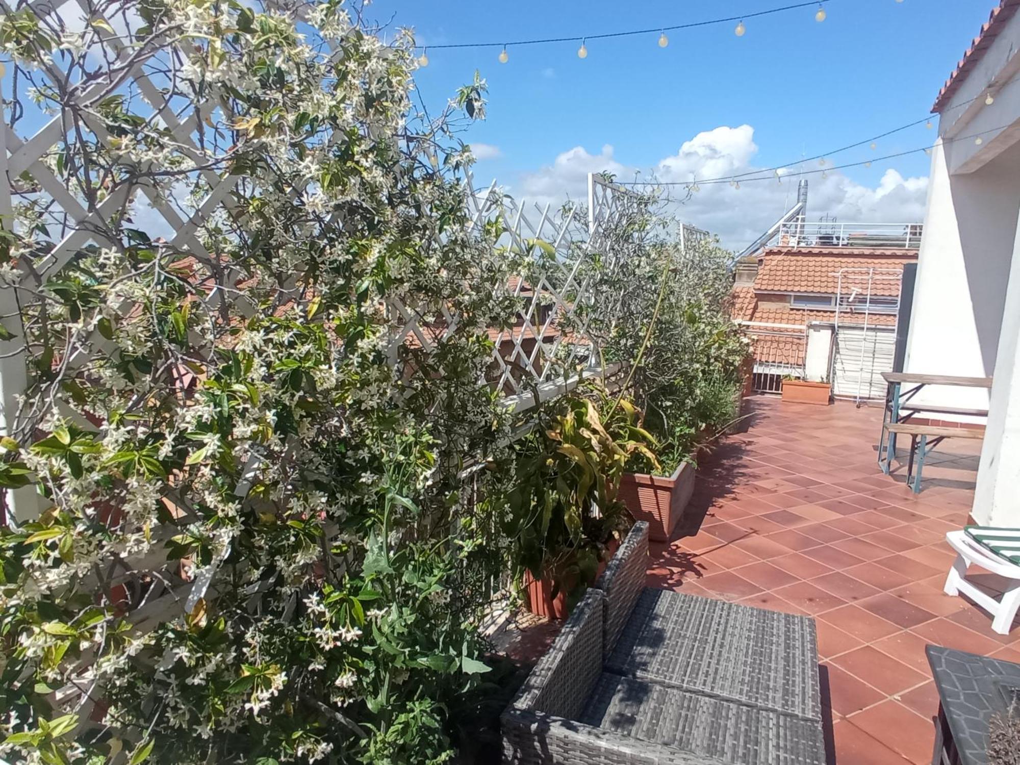 Rooftop Appia Antica,Silenzioso Riservato Two Bedrooms Two Bathrooms Roma Eksteriør bilde